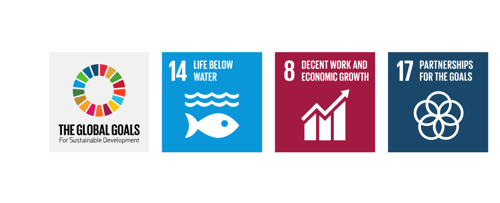 UN Goals for sustainable development