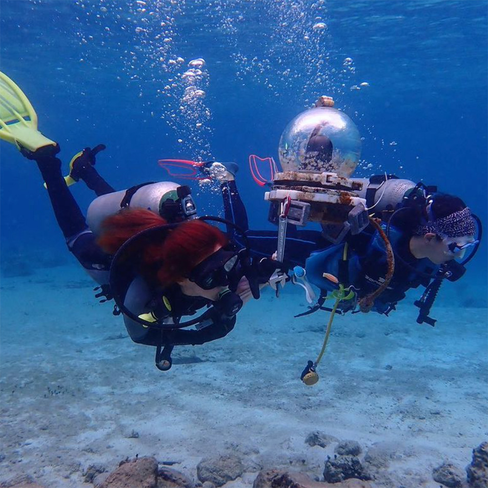Divers at a coral restoration structure in Cozumel